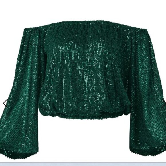 Allover SEQUIN Emerald Green Stretch Top NWT - Picture 1 of 5